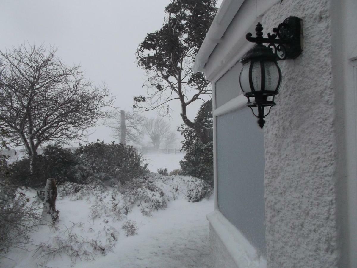 Muirfad Farm House Bed And Breakfast Palnure Dış mekan fotoğraf